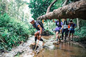 BIB: 
                            <button type="button" onclick="openModal(25373903)" class="btn btn-primary btn-sm float-right btn-popup" data-toggle="modal" data-target=".modal-high-quality">
                        <i class="fas fa-shopping-cart"></i> Add to Cart
                    </button>
                                            <button type="button" onclick="isThisMe(25373903, true)" class="btn btn-success btn-sm float-right btn-popup btn-isme hidden" data-toggle="tooltip" data-placement="bottom" title="นี่คือรูปของคุณใช่ไหม คลิกที่นี่เพื่อเอาเข้าอัลบั้ม">
                        <i class="fas fa-plus"></i> Add to album
                    </button>
                    <button type="button" onclick="isThisMe(25373903, false)" class="btn btn-warning btn-sm float-right btn-popup btn-isnotme hidden">
                        <i class="fas fa-ban"></i> Remove from album
                    </button>